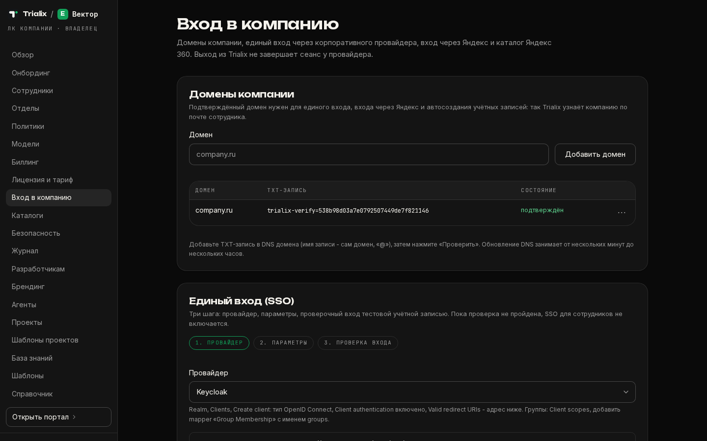 Домены компании и TXT-записи